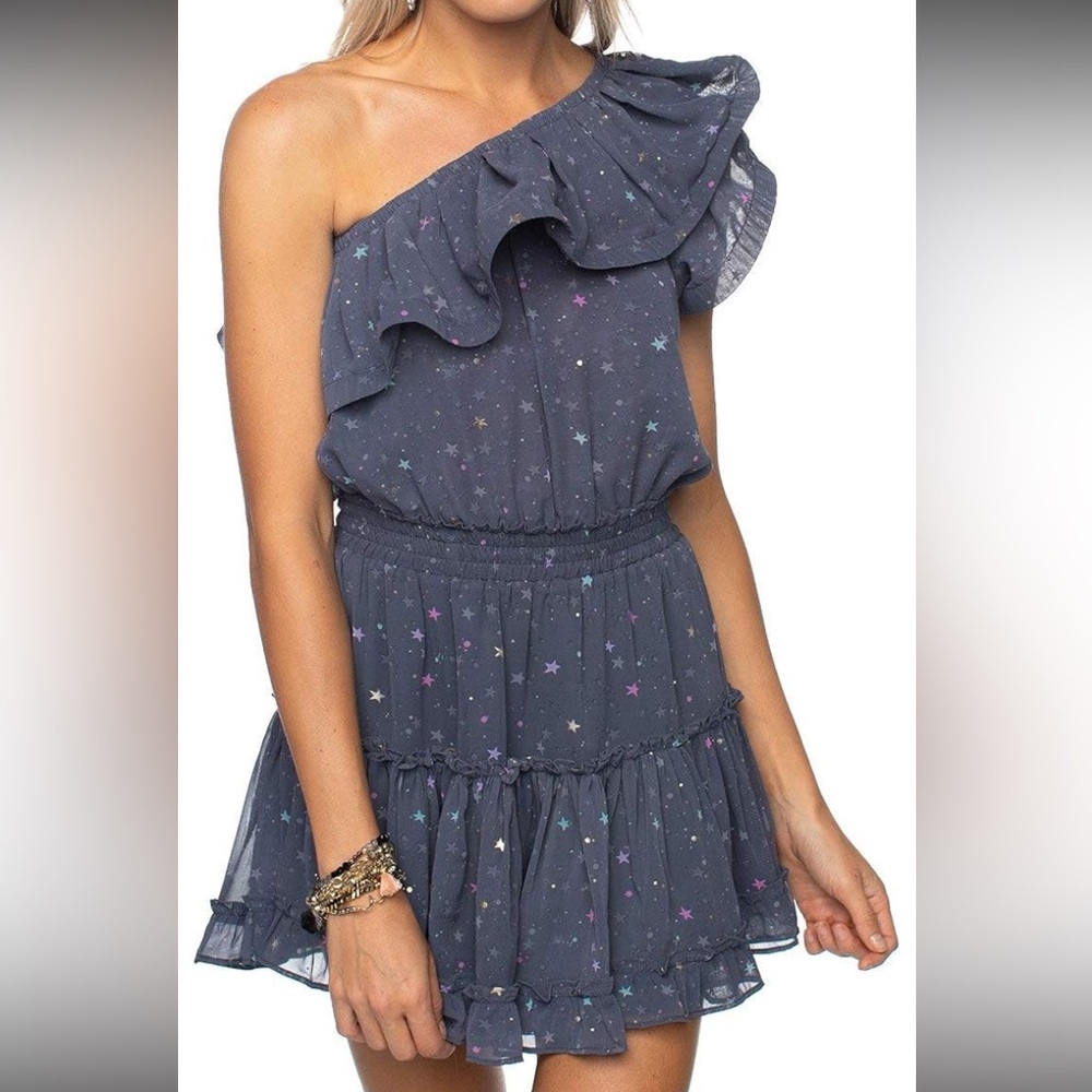 Buddy Love One-Shoulder Ruffle Dress in Navy Star